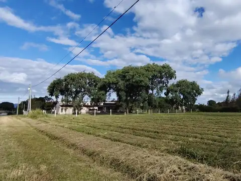 Terreno en Venta 50  mts Frente