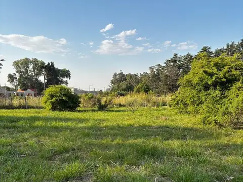 LOTE CAMPUS UNIVERSITARIO, TANDIL.