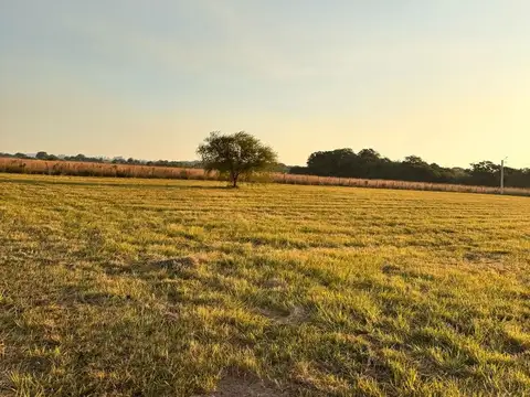 Terreno en Venta de 1010,0 m2