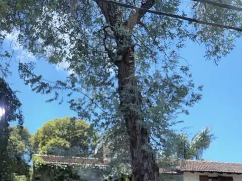 Casa en Alquiler en Bella Vista, USD 2.200
