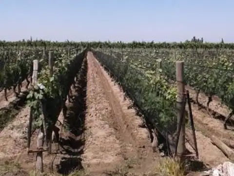 Corredor Productivo s/n