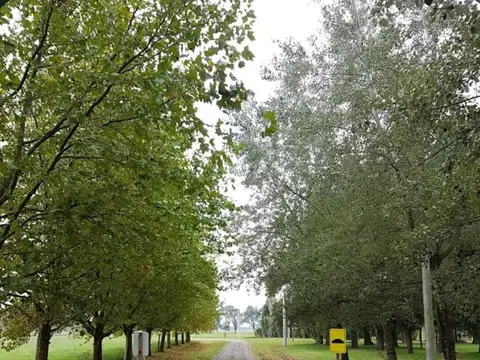 Terreno en Venta en Chacras De Abbott, San Miguel del Monte