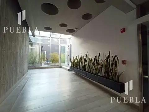 Oficina en Alquiler A Estrenar