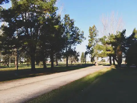 Terreno en Venta de 1200,0 m2