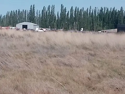 HECTAREA EN ALQUILER-PLOTTIER PARQUE INDUSTRIAL