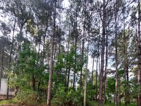 Terreno en Arroyo Leyes, sobre Puertos Palacios