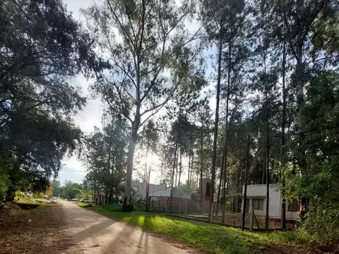 Terreno en Venta en Arroyo Leyes, USD 35.000