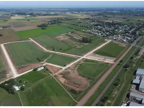 Lote 6701m2 - Area Logística e Industrial Alvear