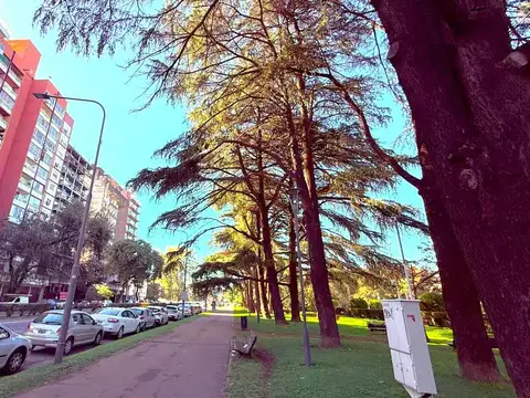 Av Pellegrini 2300, Piso 5