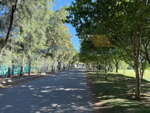 Pasaje Mariano Escalada Bustillo