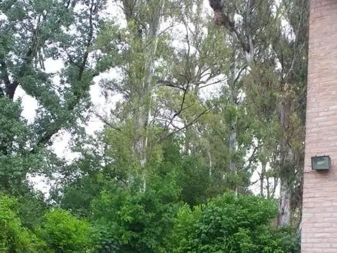 Casa en Alquiler de 3 dormitorios