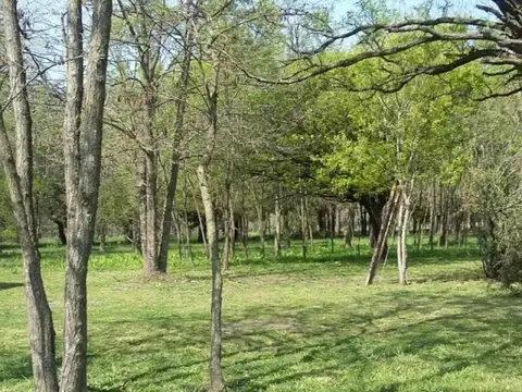 Terrenos  en venta Club de Campo AMARILYS