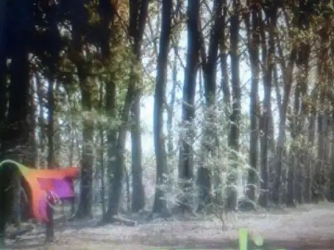 Club De Campo Amarilys  Autopista 8 Km 70.5