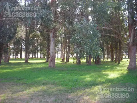 Laguna de Los Cisnes RUTA INTERBALNEARIA al 0