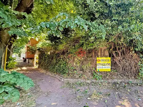 Martín Coronado e Intendente Alfaro