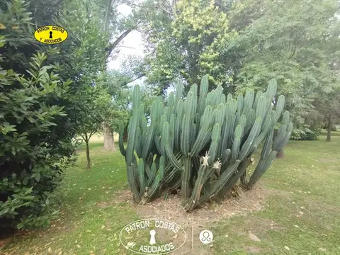 VENTA CASAS CHACRA EXALTACION DE LA CRUZ