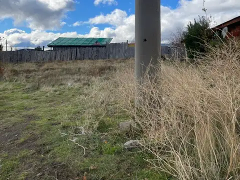 Altos de la Vega 100