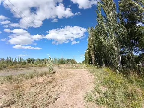 5 héctareas (chacra)  con riego y entrada individual en 25 de mayo La Pampa