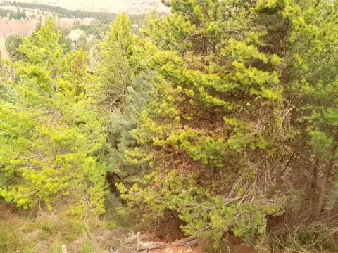 Terreno en Venta en San Martín de los Andes, USD 69.000