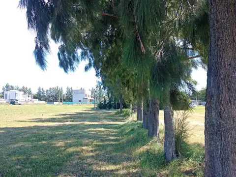 Terreno en Venta en La Plata, USD 48.160