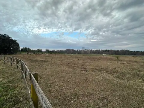 Terreno en venta en Haras Argentino Farm Club