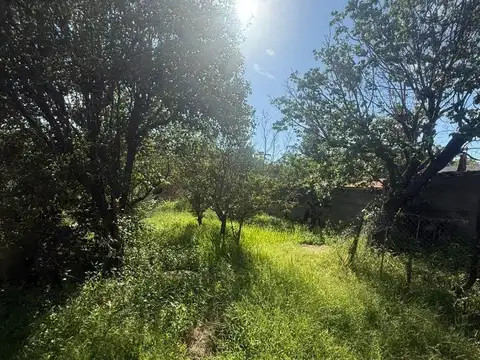 Casa en Alquiler de 3 dormitorios