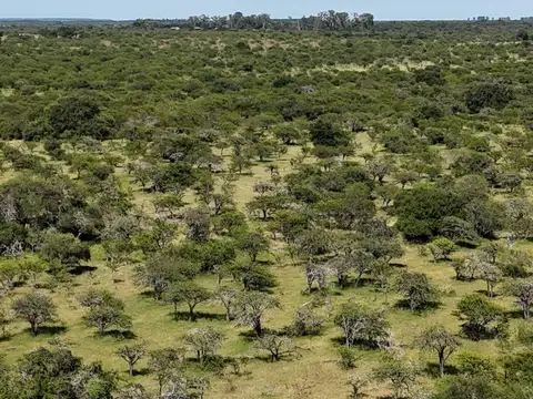 Campo en San Jaime De La Frontera