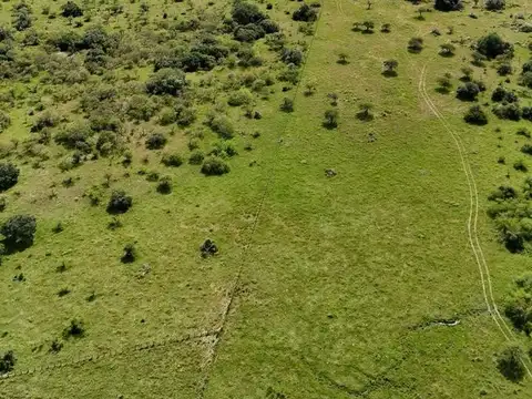 Campo en San Jaime De La Frontera