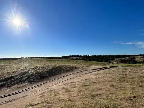 VENTA CAMPO DE 82 HA EN MEDANO BLANCO NECOCHEA