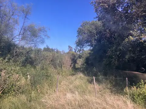 EXCELENTE LOTE DE 5 HECTAREAS A 1000 METROS DE RUTA