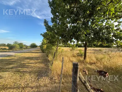 Terreno en Venta en Manzanares, USD 75.000