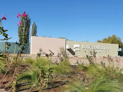 LOTE EN BARRIO PRIVADO BOSQUE BLANCO - JUNIN