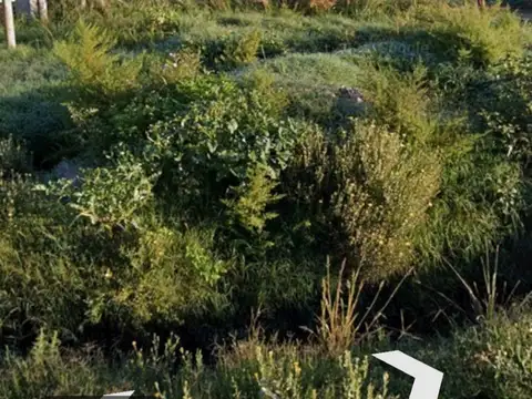 Campo 400 hectáreas - Escobar