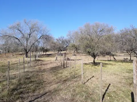 Terreno en Venta 26  mts Frente