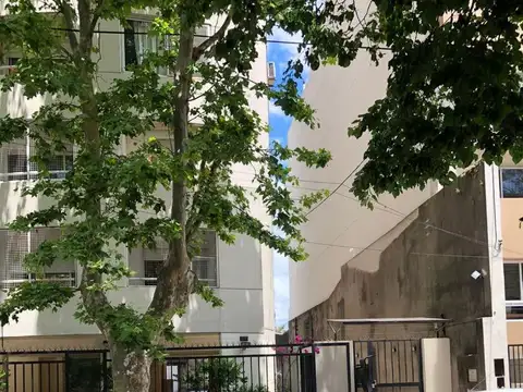 Belgrano 1000 , Piso 1