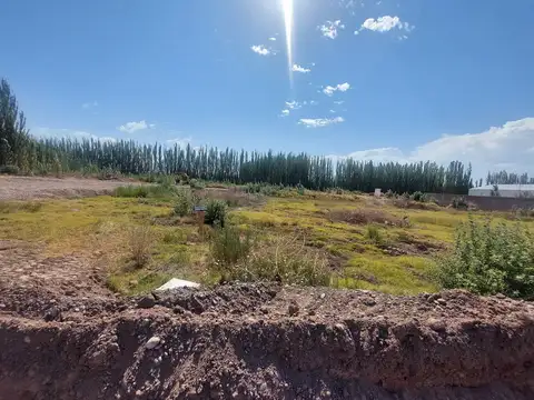 Terreno en Venta en Centenario, USD 34.000