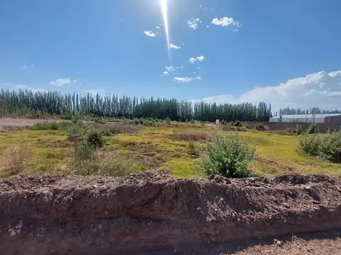 Terreno en Venta en Centenario, USD 34.000