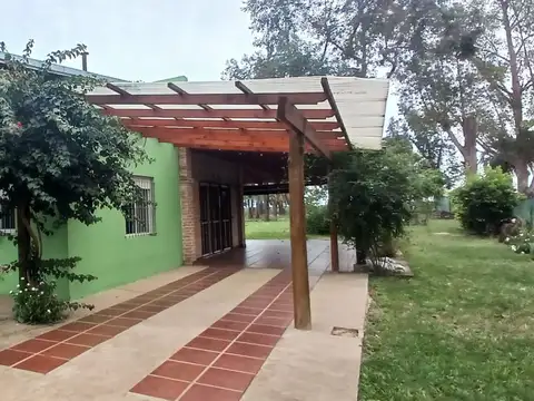 El Zorzalito 100