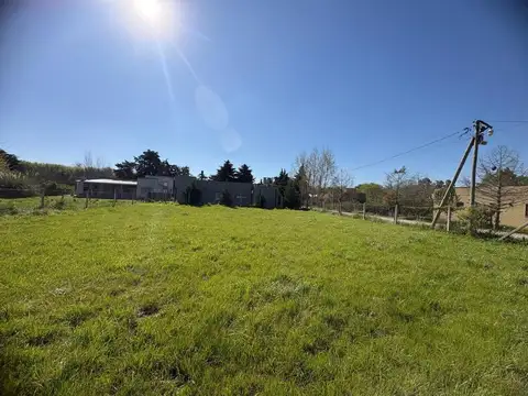 El Amparo, Lote 100