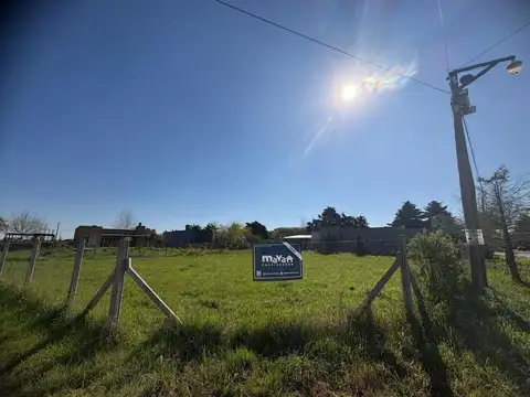 El Amparo, Lote 100