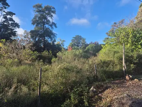 Local en Venta en Maquinista Savio, USD 480.000