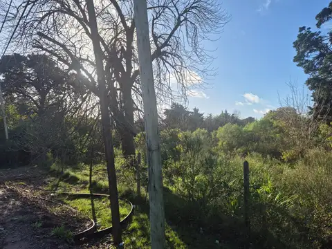 Avenida Constitucion  al 2200