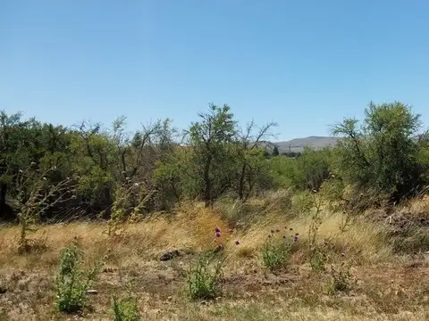 Terreno en Venta en San Martin de los Andes, USD 48.000