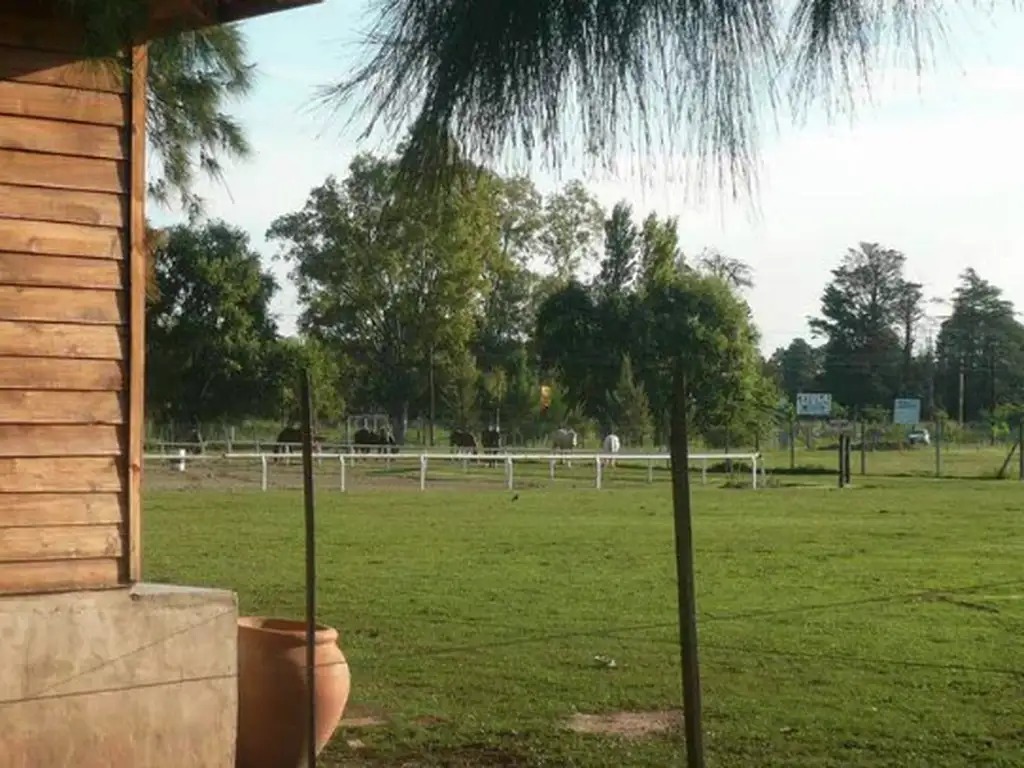 Actividades deportivas futbol, paddle, golf, tenis, hockey, equitacion en Estancia La Tradicion