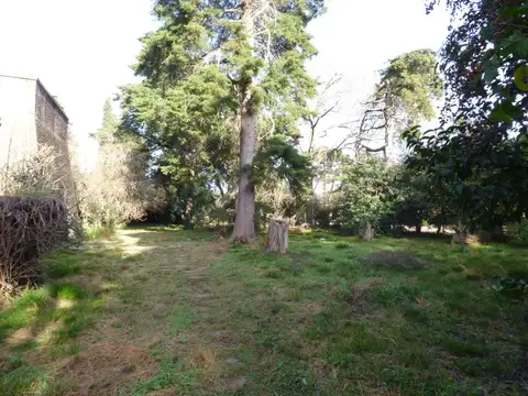409 ( Martín Fierro  y 29 )