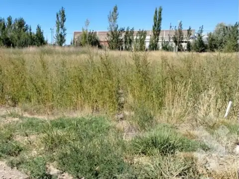 Terreno en Venta en Allen, USD 8.000