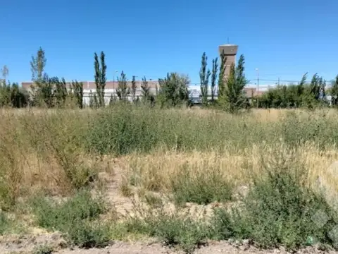 Bahía Blanca y Ruta 65