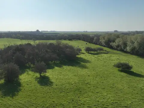 17 Ha. Chacra con costa del Arroyo de la Cruz en Capilla del Señor