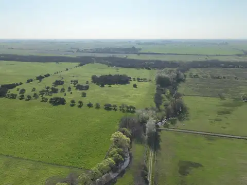 17 Ha. Chacra con costa del Arroyo de la Cruz en Capilla del Señor