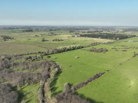 17 Ha. Chacra con costa del Arroyo de la Cruz en Capilla del Señor